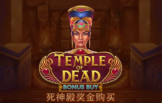 老狼信息网